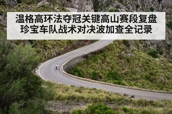温格高环法夺冠关键高山赛段复盘 珍宝车队战术对决波加查全记录
